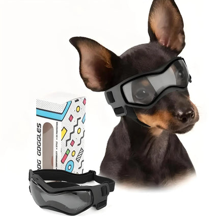 Lunettes de soleil pour petits chiens