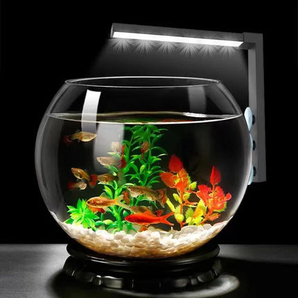 Lampe LED compacte pour aquarium