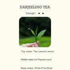 TÉ DARJEELING / 100 ml