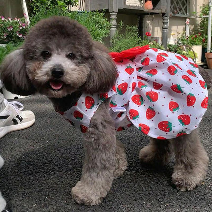 Robe pour chien avec nœud papillon printemps-été