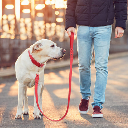 Laisse pour chien en cuir véritable de 1,5 m