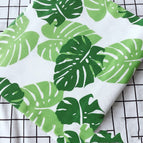 Turtleback bamboo / 10m