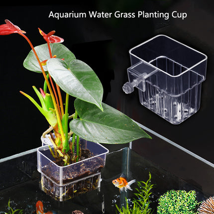 Panier de plantation pour aquarium Support hydroponique