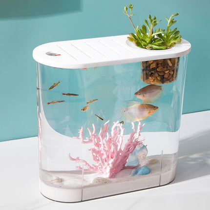 Réservoir en plastique transparent pour poissons rouges