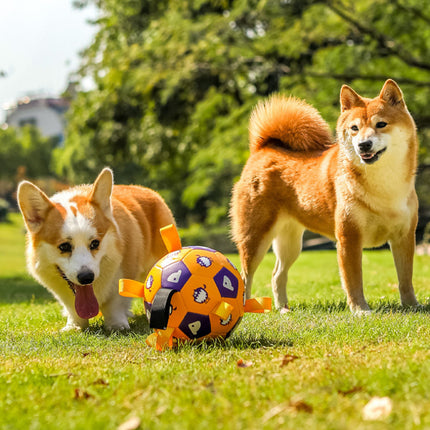 Juguete de fútbol interactivo para perros con lengüetas de agarre