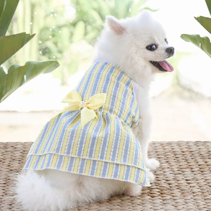 Robe de princesse pour chien