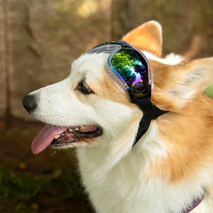 Lunettes de soleil pour chien, coupe-vent, résistantes aux UV, réglables, pour chiens de taille moyenne à grande