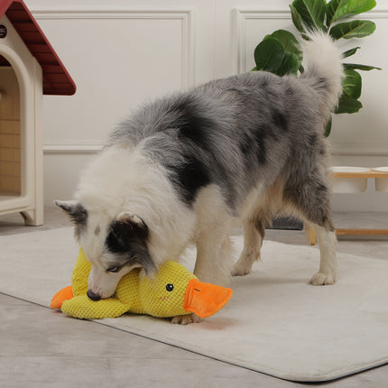 Jouet interactif pour chien en forme de canard avec couineur