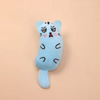 Sky Blue cat