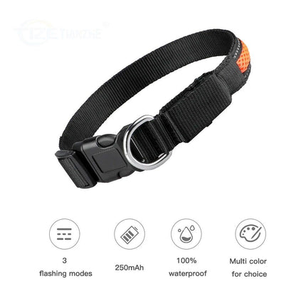 Nylon Dog Collar Flash Night Safety LED Glow Waterproof - Wnkrs