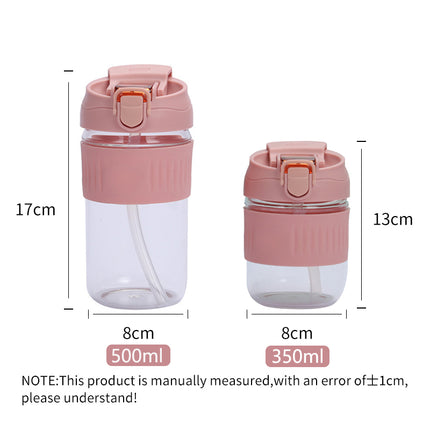 Portable Glass Water Bottle