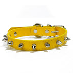 M / Jaune