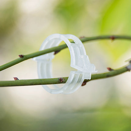 Lot de 100 clips de support réutilisables pour plantes potagères et tomates