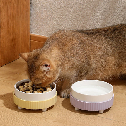 Gamelle en céramique pour chat et chien