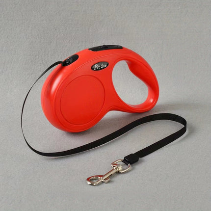 Conjunto de correa y collar retráctil automático para perros