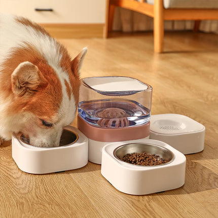 Gamelle pour chien de grande capacité avec distributeur d'eau automatique et séparateur de nourriture