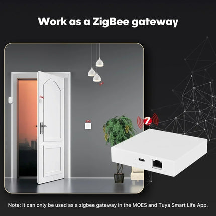 Passerelle de fil Zigbee Matter