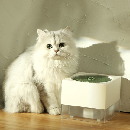 Fontaine à eau automatique pour chat avec pompe à eau courante et distributeur d'eau lent