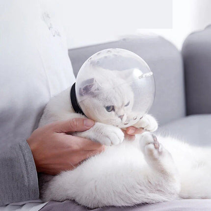 ComfortFit Transparent Cat Space Hood - Wnkrs