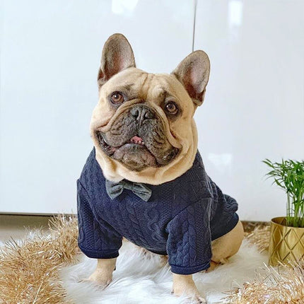 Manteau tendance pour chien avec nœud papillon