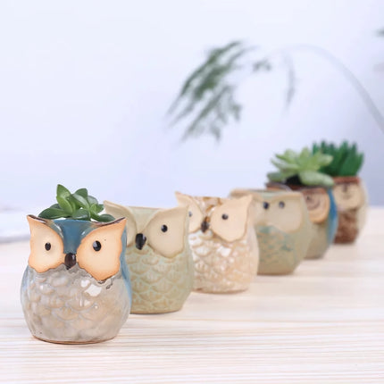 Mini Owl Ceramic Plant Planter