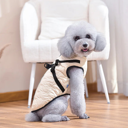 Gilet harnais confortable pour chien teckel saucisse - Tenue d'hiver