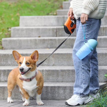 Bouteille d'eau portative pour animaux de compagnie