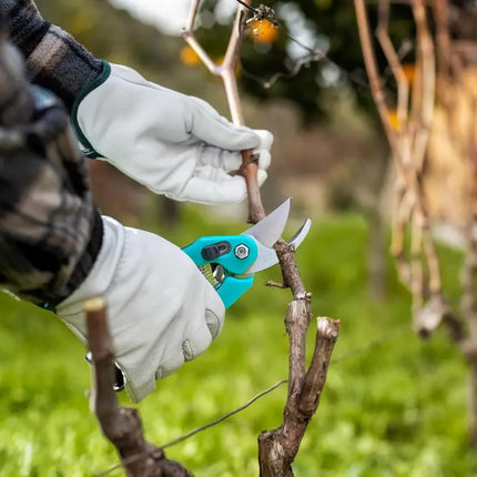 Cisaille de jardin efficace avec verrouillage de sécurité et poignée confortable