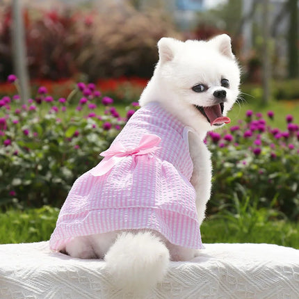 Robe de princesse pour chien