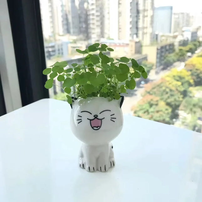 Joli mini pot de fleurs en céramique en forme de chat