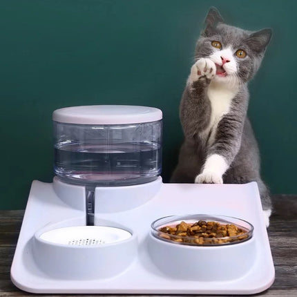 Ensemble distributeur automatique d'eau et de nourriture pour animaux de compagnie de 1,8 L pour chats et chiens