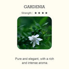 GARDENIA / 100 ml
