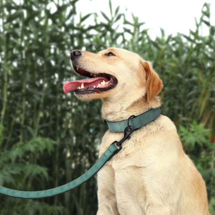 Conjunto de collar y correa acolchados y duraderos para perros de razas grandes