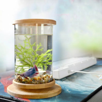 Mini aquarium rotatif