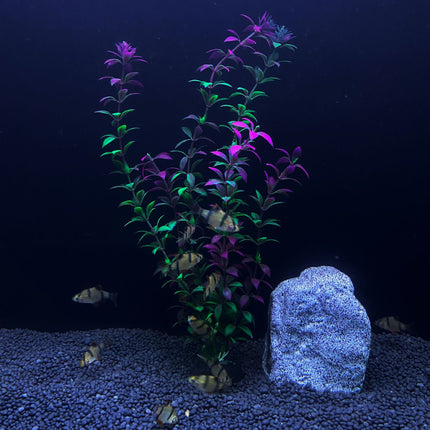 Plante artificielle pour aquarium de 30 cm de haut