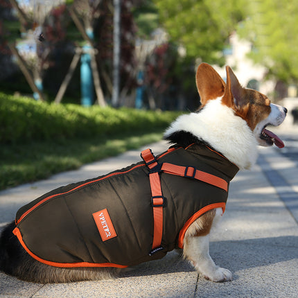 Veste imperméable rembourrée pour animaux de compagnie