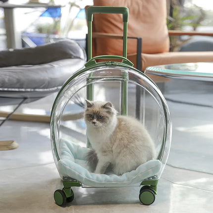 Sac à dos transparent et translucide pour animaux de compagnie pour chats et petits chiens