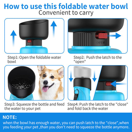 Bouteille d'eau portative pour chien