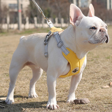 Harnais réglable anti-traction pour chien avec ensemble de laisse