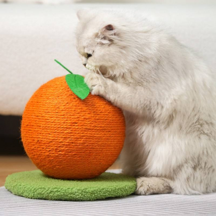 Arbre à chat durable avec boule en sisal