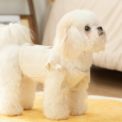 Gilet chaud en dentelle pour petits chiens