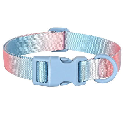 Collier pour chien en nylon à imprimé coloré