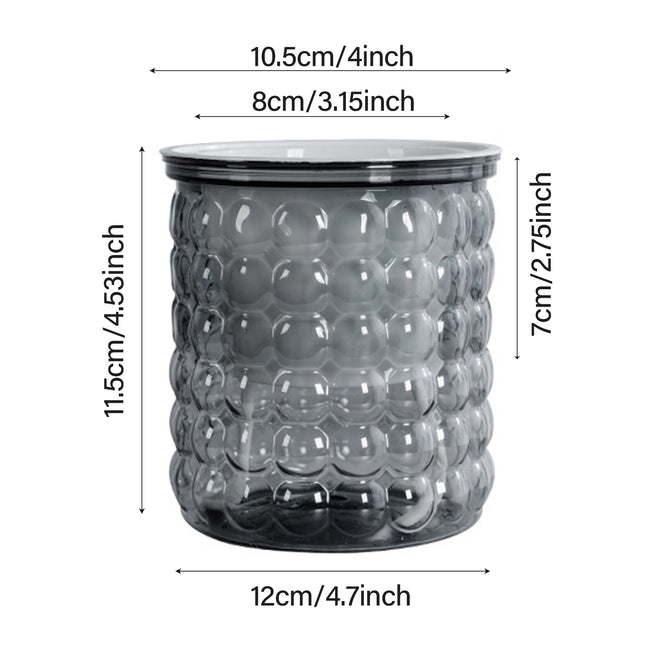 Jardinière hydroponique auto-arrosante pour plantes succulentes