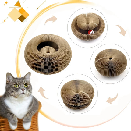 Jouet griffoir pour chat Magic Organ