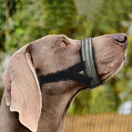 Muselière réfléchissante en nylon pour chien