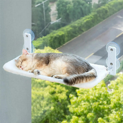 Percha para ventana plegable para gatos con marco de acero