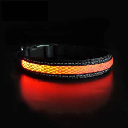 Nylon Dog Collar Flash Night Safety LED Glow Waterproof - Wnkrs