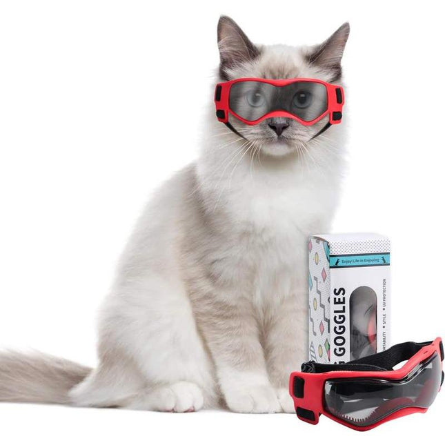 Lunettes de soleil avec protection UV pour chats et petits chiens