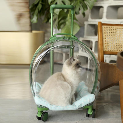 Sac à dos transparent et translucide pour animaux de compagnie pour chats et petits chiens