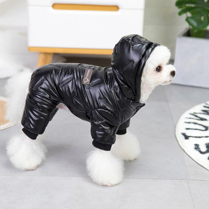 Combinaison imperméable pour petit chien